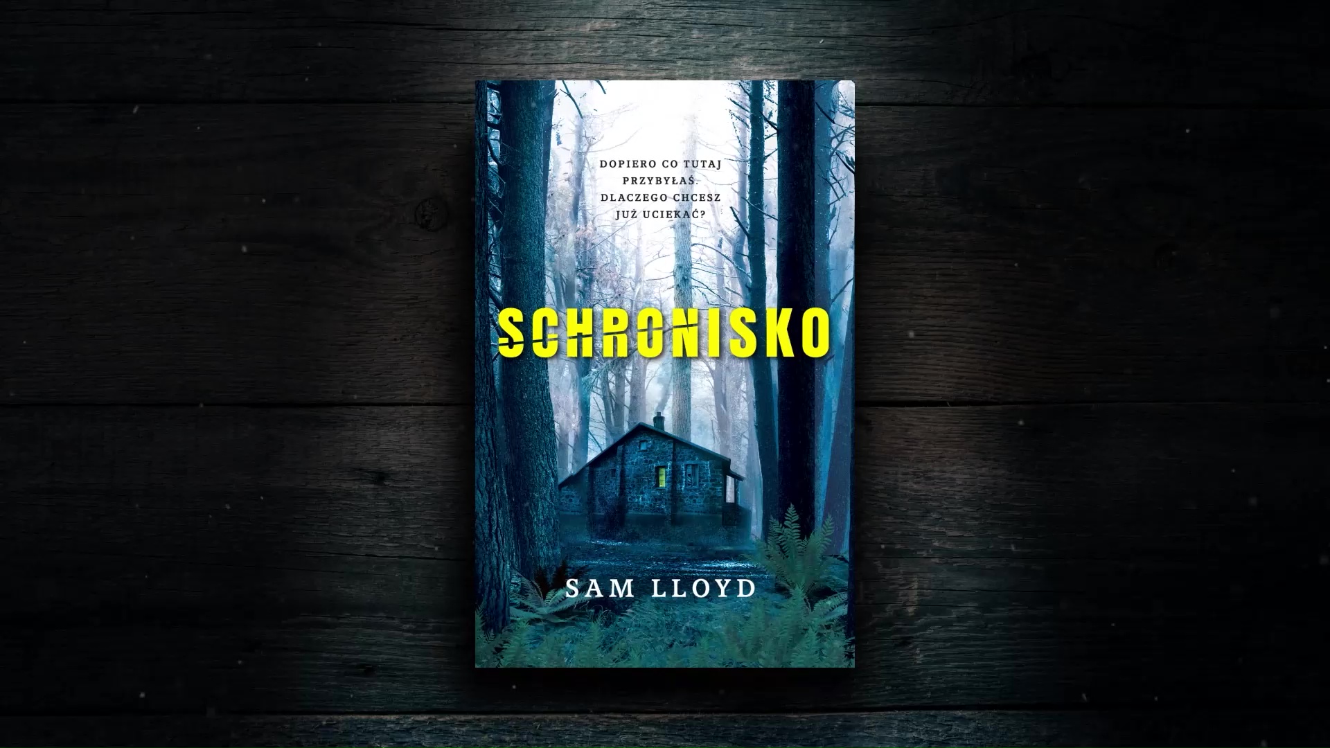 SchroniskoSam LLoyd WAB