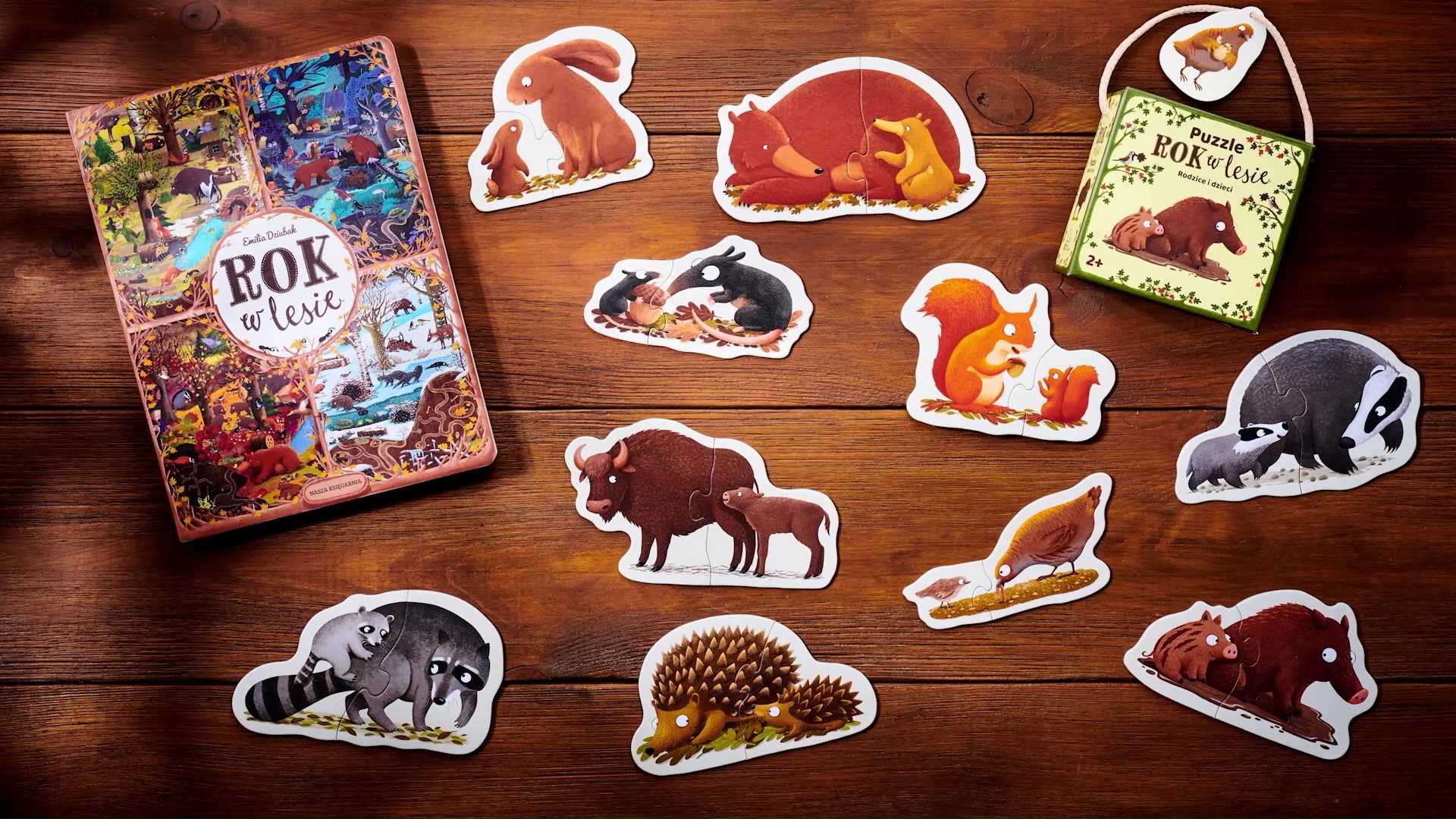 ROK W LESIEEmilia Dziubak Nasza Księgarnia