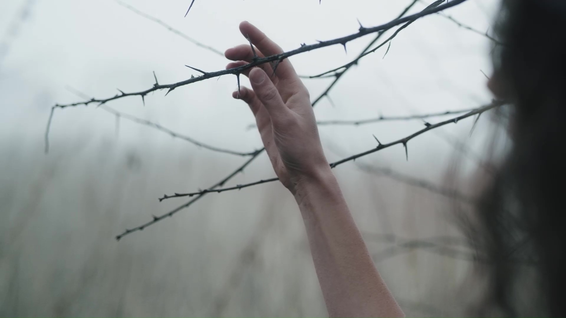 CIERŃPrzymysław Żarski Czwarta Strona