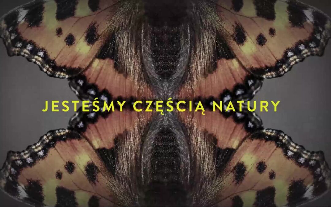 SimonaSimona KossakMarginesy