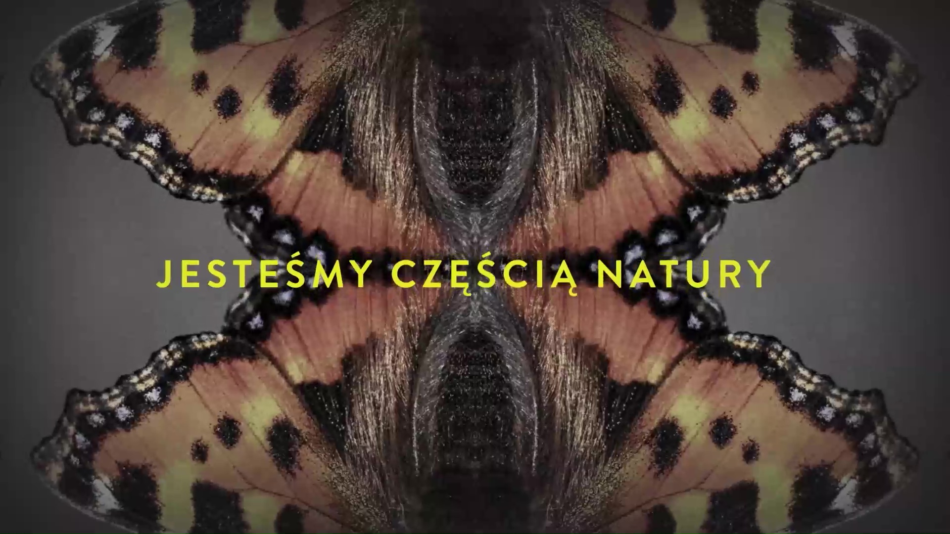 SimonaSimona KossakMarginesy